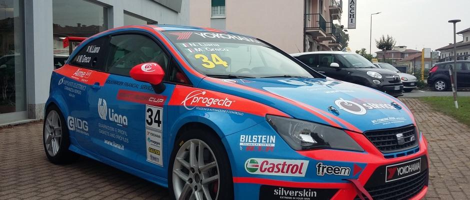 Seat Ibiza cup