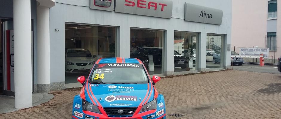 Seat Ibiza cup